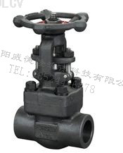 鍛鋼(gang)閘閥 Z61Y、Z61H
