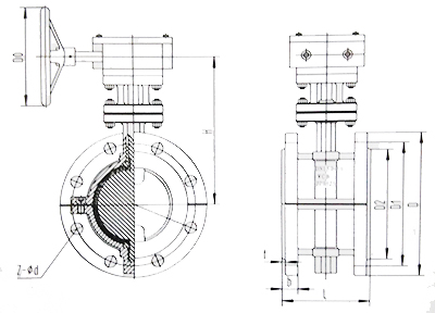 襯氟(fu)蝶閥結構(gòu)示意圖