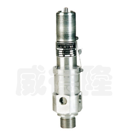 空壓(yā)機安全閥(fa)AQ